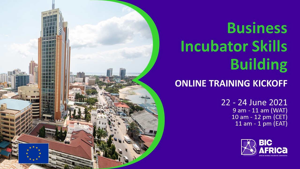 Business Incubator Skills Building Online Training