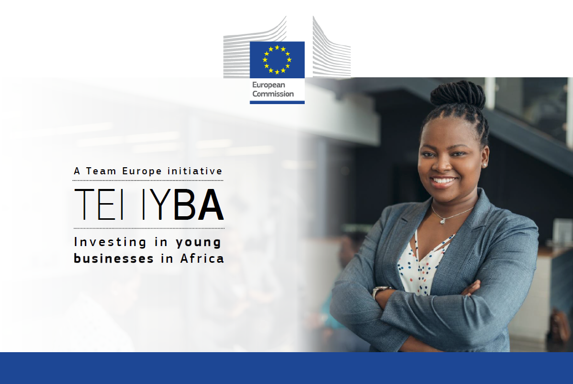BIC Africa participated at the TEI IYBA Working Group on Ecosystem Development Online Workshop with External Stakeholders