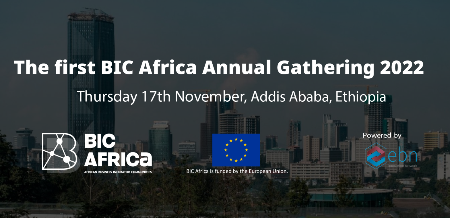 The first BIC Africa Annual Gathering 2022