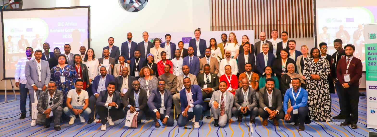 BIC Africa Annual Gathering 2023: Promoting shared learning. Driving innovative startups!