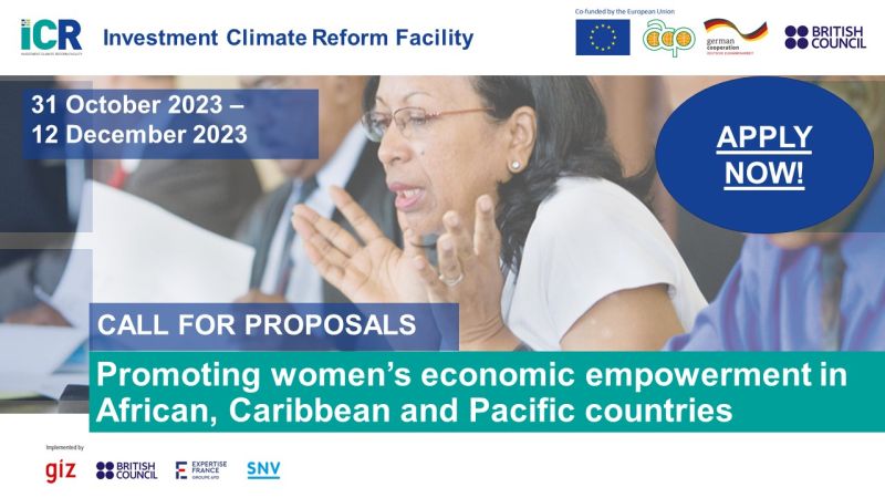 Call for Proposals: Promoting Women's Economic Empowerment in African, Caribbean and Pacific Countries