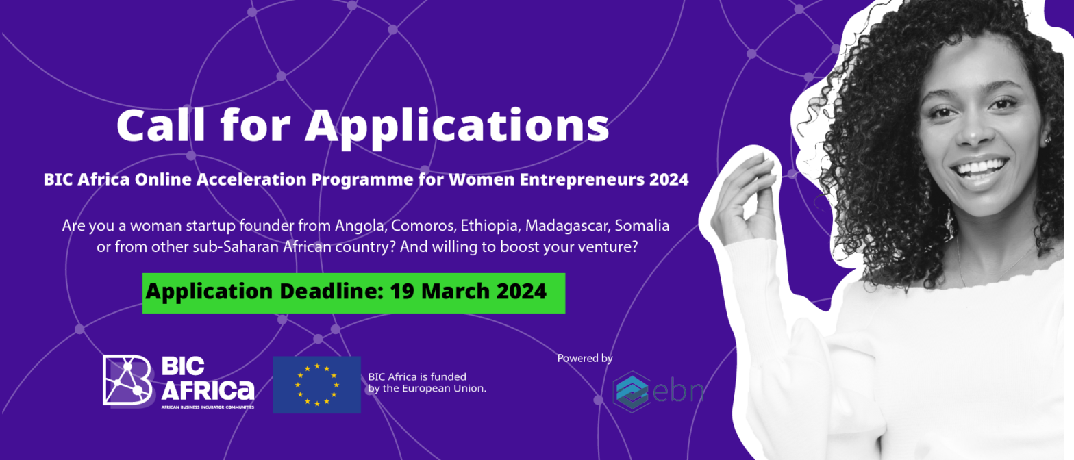 Call for Applications: BIC Africa Online Acceleration Programme for Women Entrepreneurs 2024
