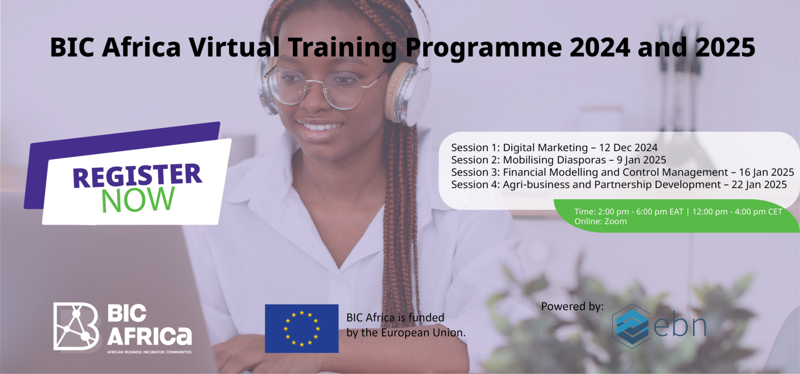 BIC Africa Virtual Training Programme 2024 and 2025