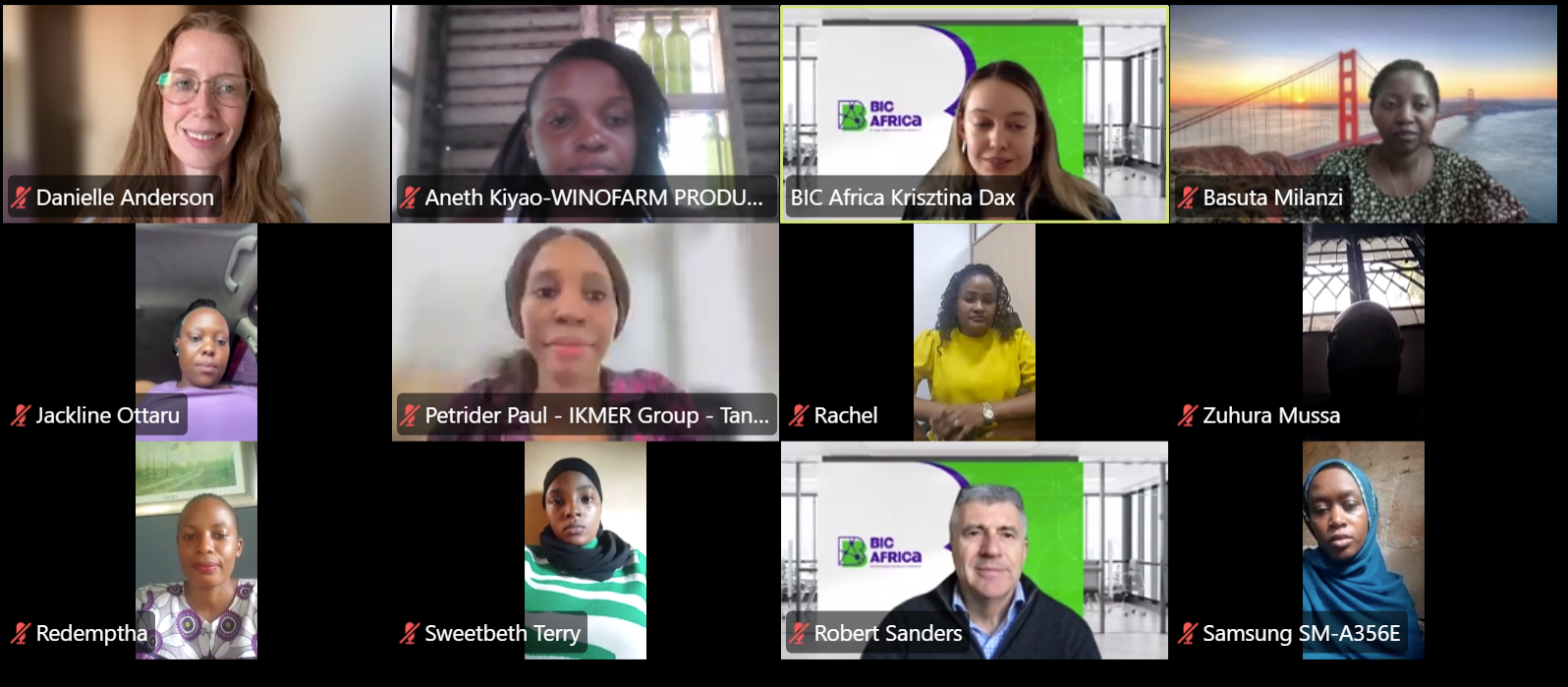 The BIC Africa Online Acceleration Programme for Women Entrepreneurs from Tanzania Kicks off with 27 Participants