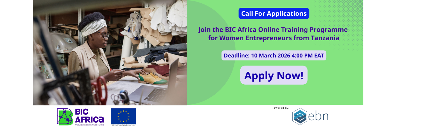 Call for Applications: BIC Africa Online Training Programme for Women Entrepreneurs from Tanzania